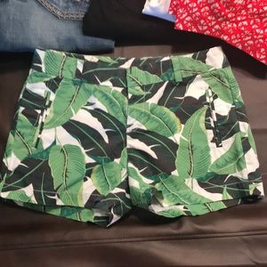 Adorable shorts in large leaf pattern
